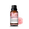 山茶花油30ml_ACO/USDA 山茶花油30ml_ACO/USDA