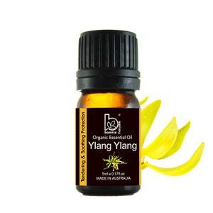 推薦給新手的依蘭依蘭精油
