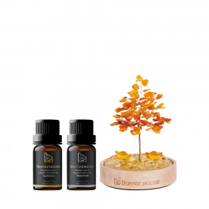 百貨週年慶|奢華招財風組 百貨週年慶|奢華招財風組