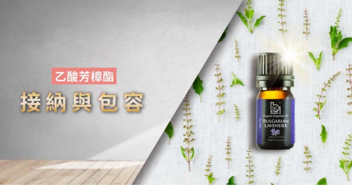 薰衣草精油功效、味道總介紹