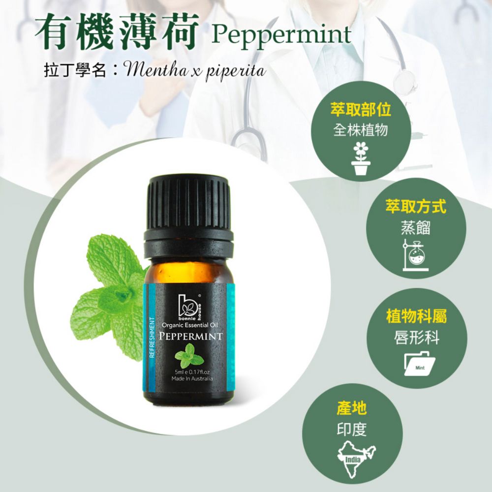薄荷精油萃取方法、植物科屬
