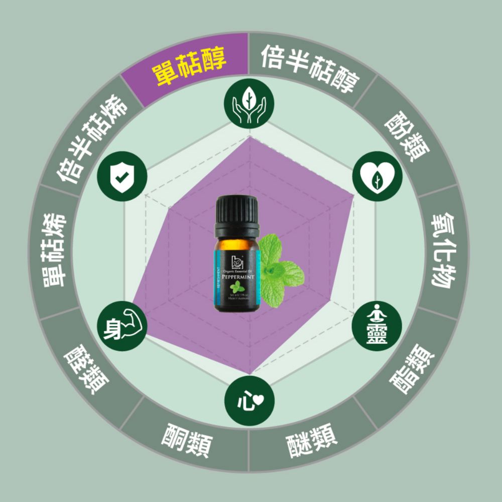 薄荷精油化學成分