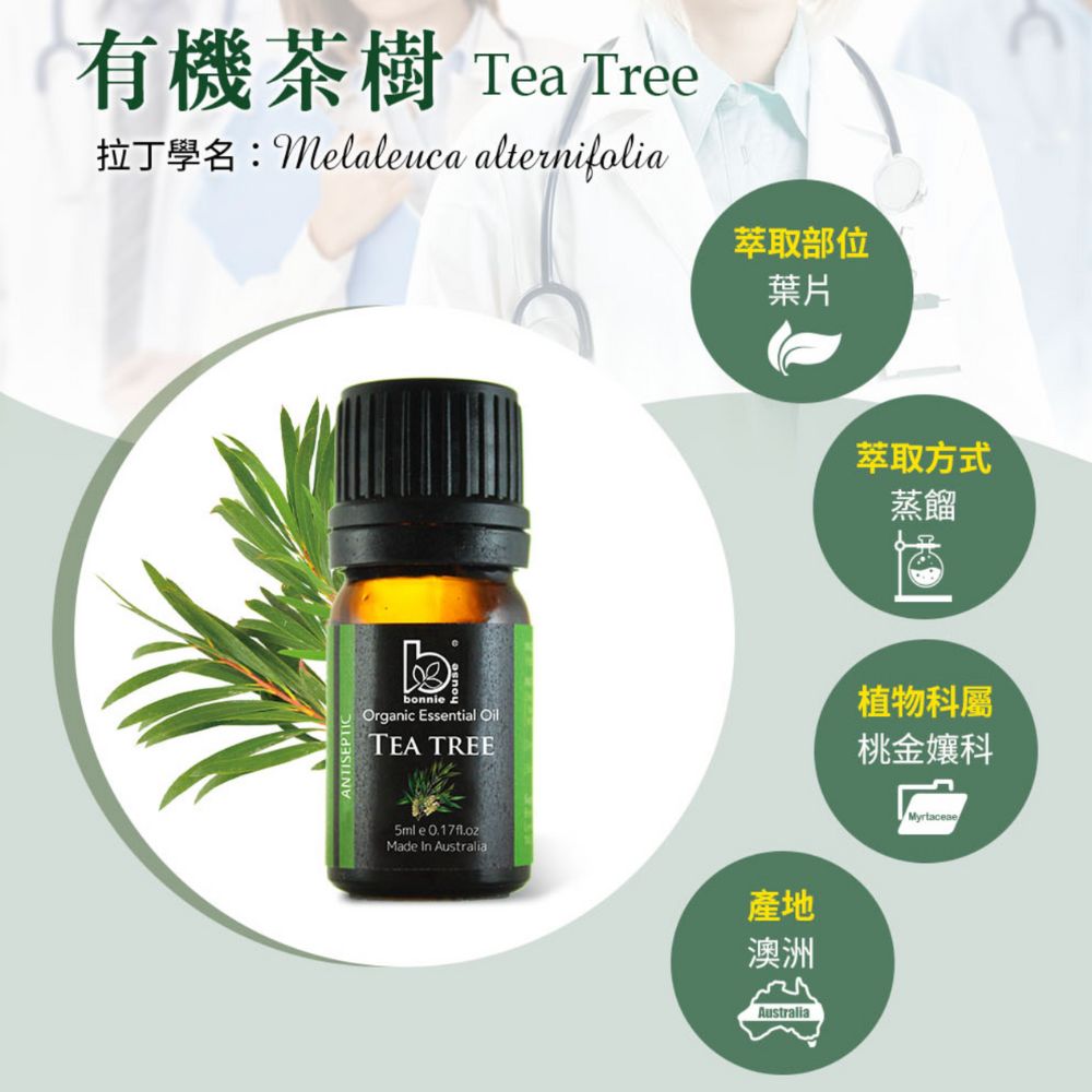 茶樹精油萃取植物