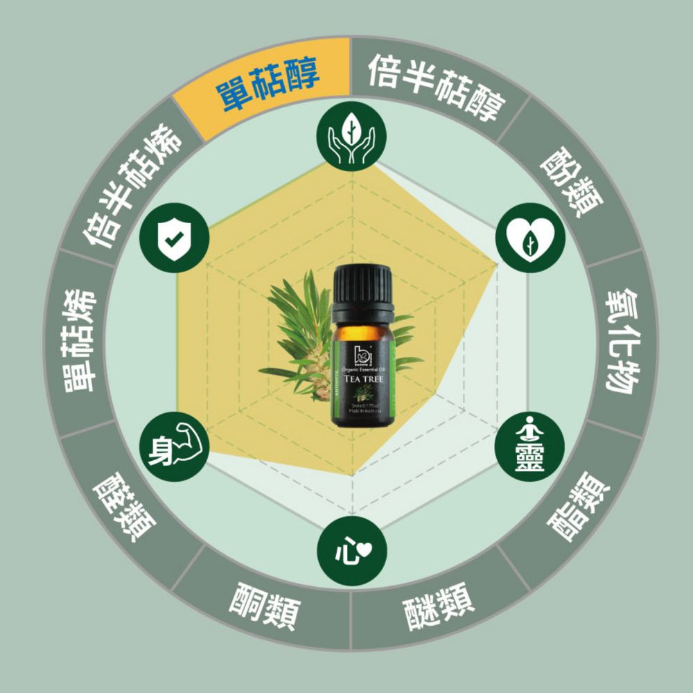 茶樹精油化學成分