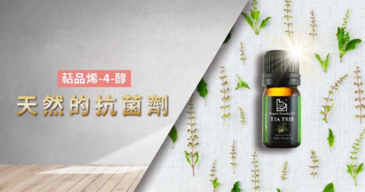 茶樹精油功效、用法總介紹