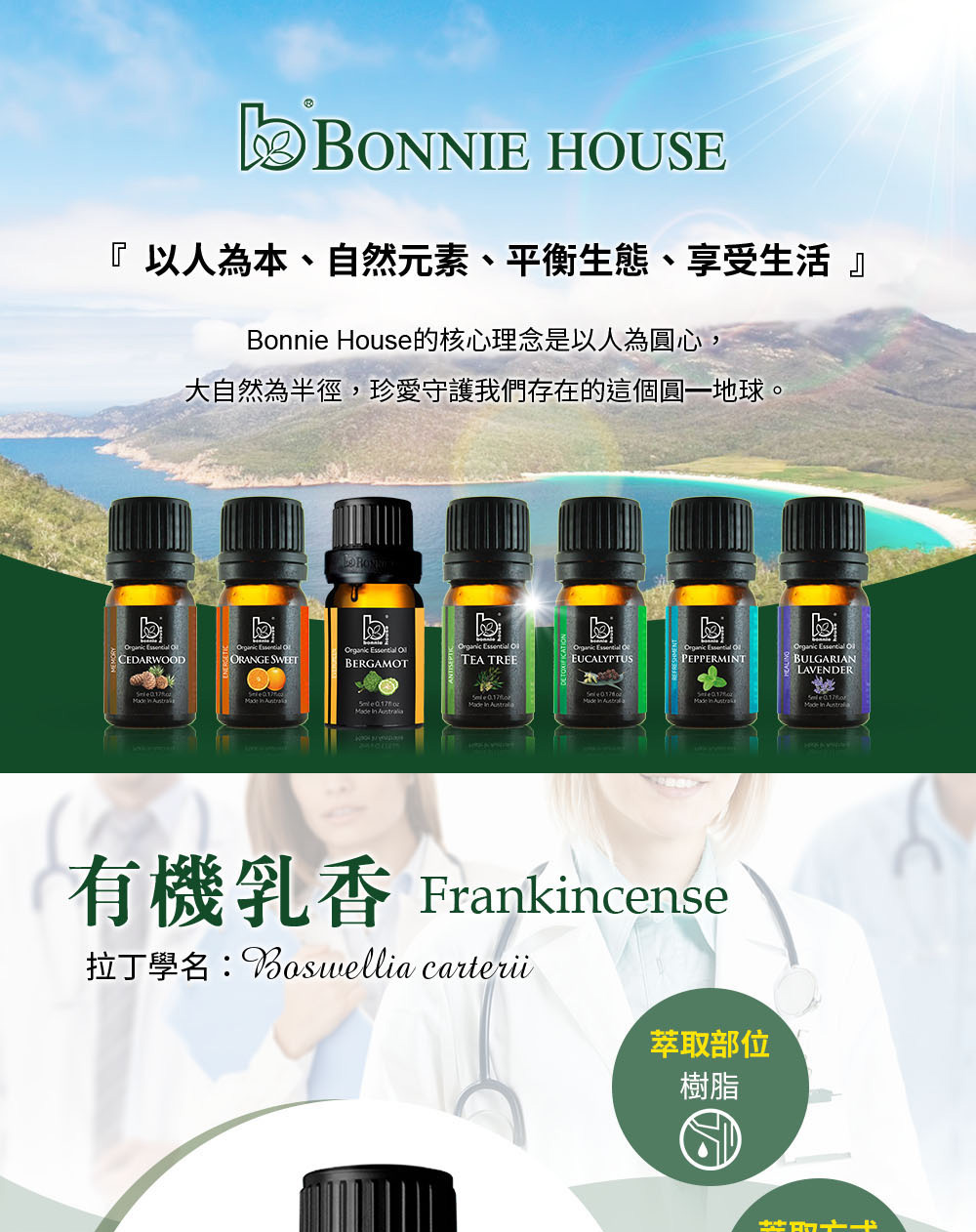 乳香精油介紹，英文Frankincense Essential Oil，學名Boswellia carterii