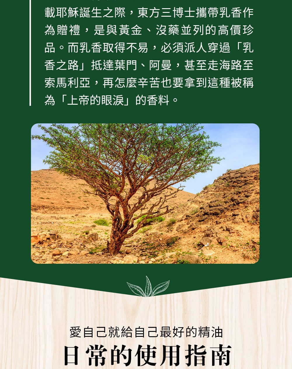 乳香的故事遠在3500年前就可以發現，盛傳乳香是埃及豔后的抗老祕方；因為乳香精油相當難取得，所以又被稱上帝的眼淚。