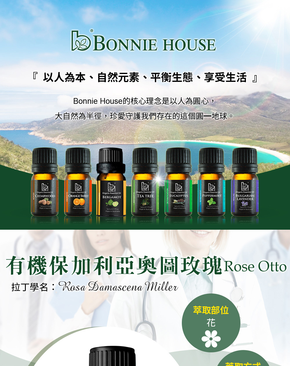 玫瑰精油介紹,英文Rose Otto Essential Oil,學名Rosa Damascena Miller
