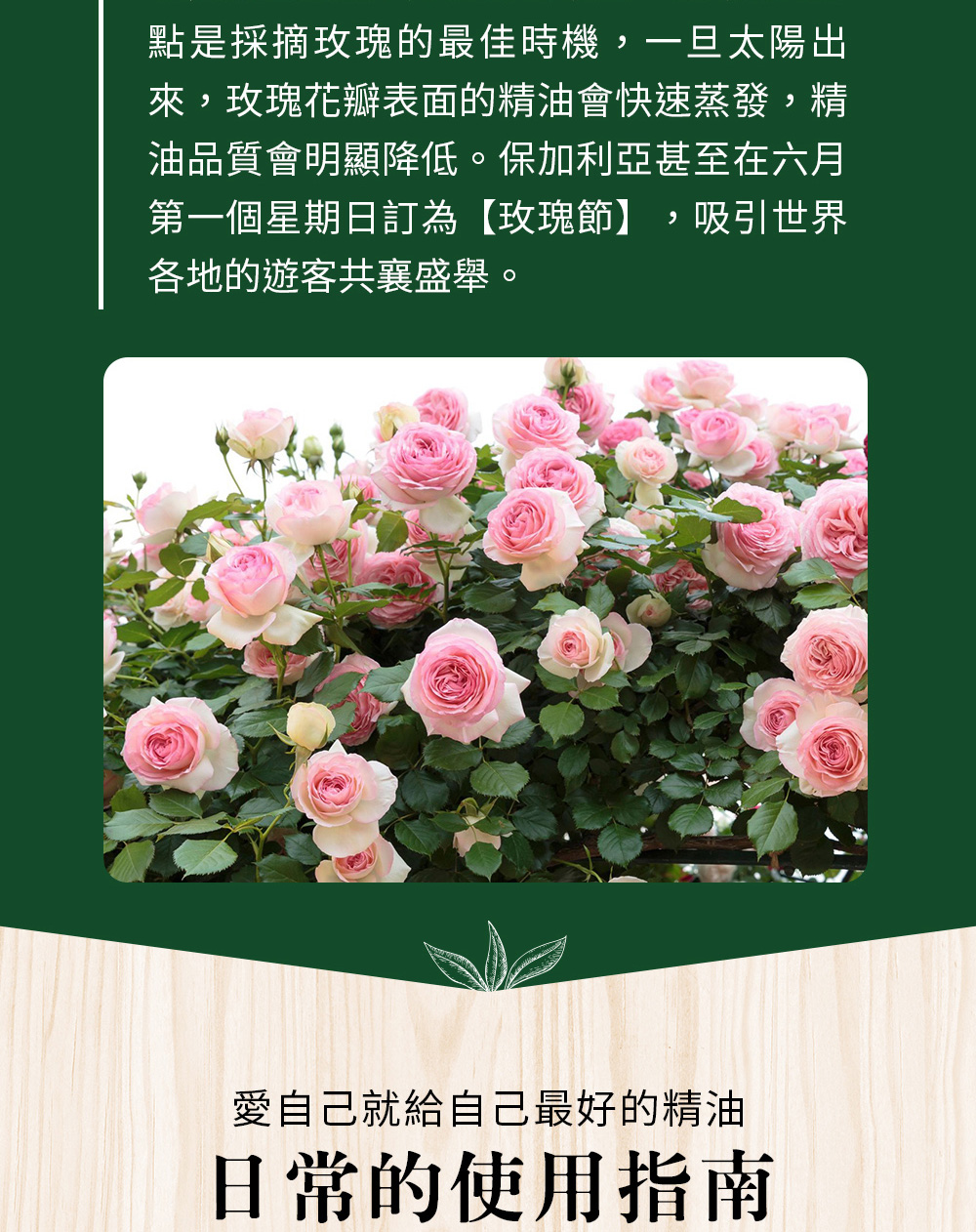 來自保加利亞保育區的有機玫瑰山谷,產出的玫瑰品質國際知名;需要3~5噸的玫瑰花瓣,才可以蒸餾出1公斤有機玫瑰精油。
