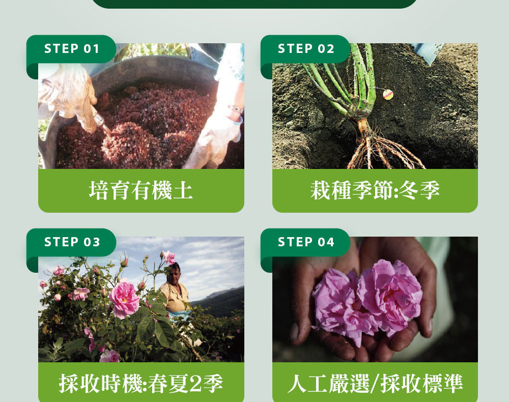 精油有機認證流程