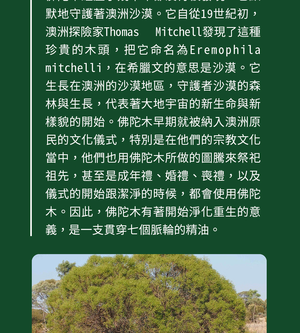 佛陀木精油的故事,有著開始淨化重生的意義,是一隻貫穿七個脈輪的精油。