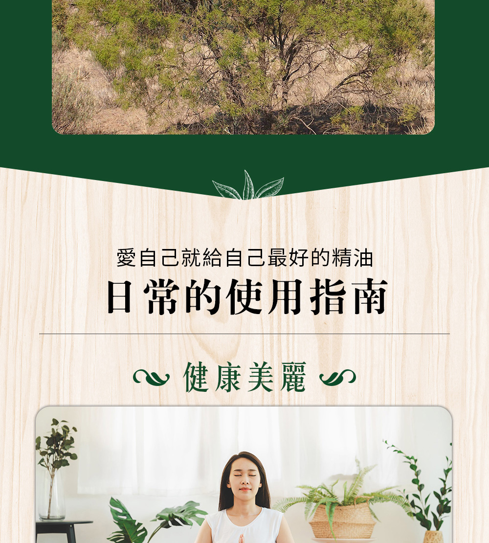 佛陀木精油是愛自己最好的精油