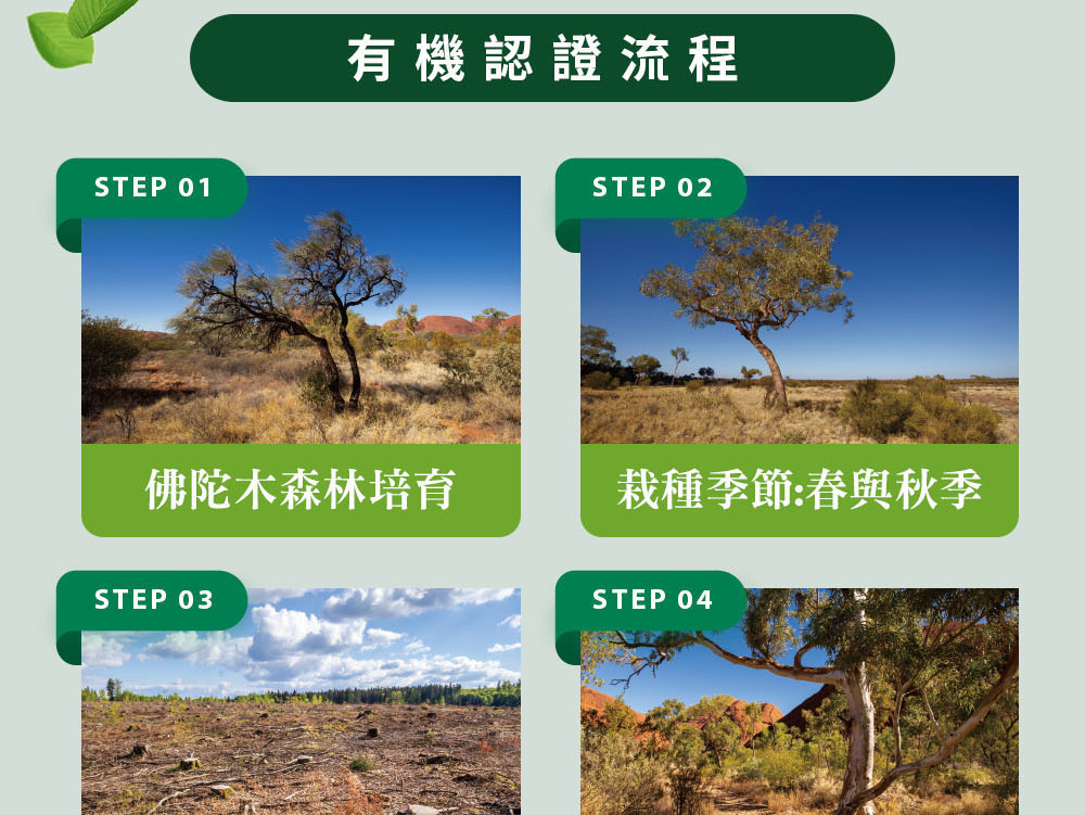 精油有機認證流程