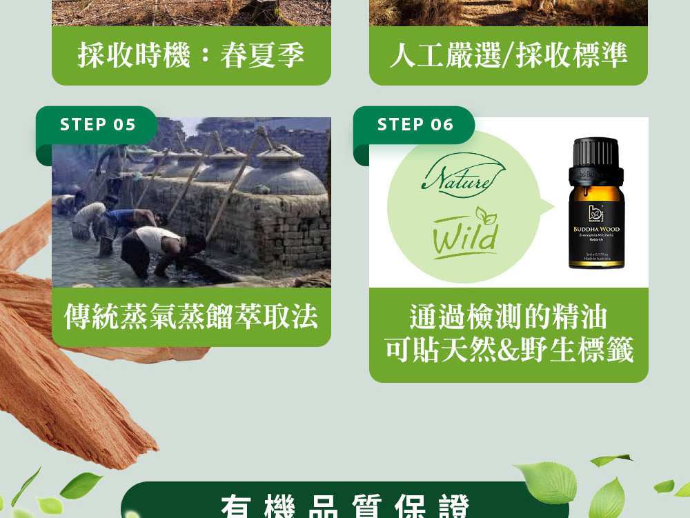 精油有機植物種植過程