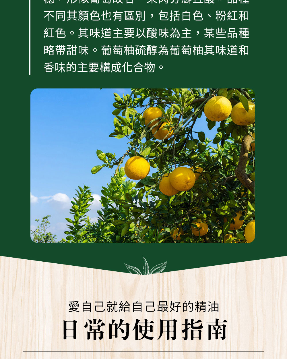 葡萄袖的升糖指數低,以葡萄柚作主要元素的葡萄柚飲食法,能夠協助代謝、燃脂