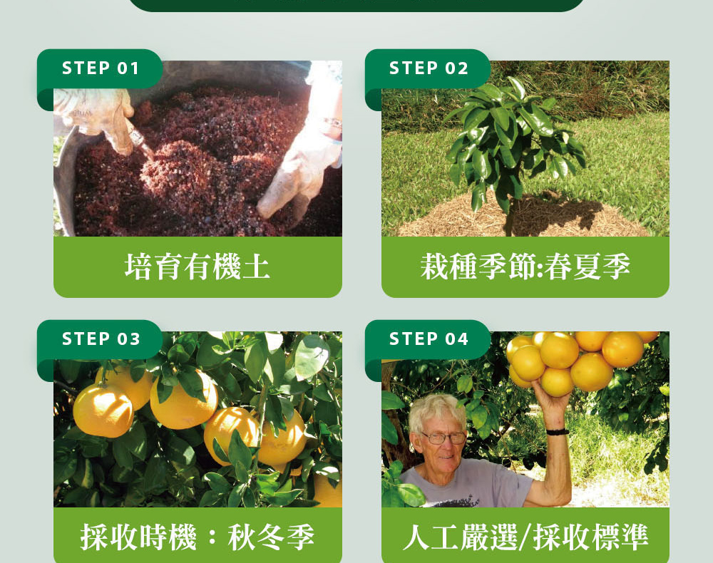 精油有機認證流程