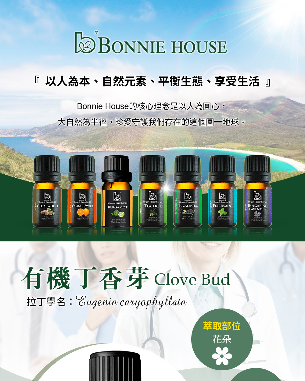 丁香芽精油介紹，英文Clove Bud Essential Oil，學名Eugenia Caryophyllata