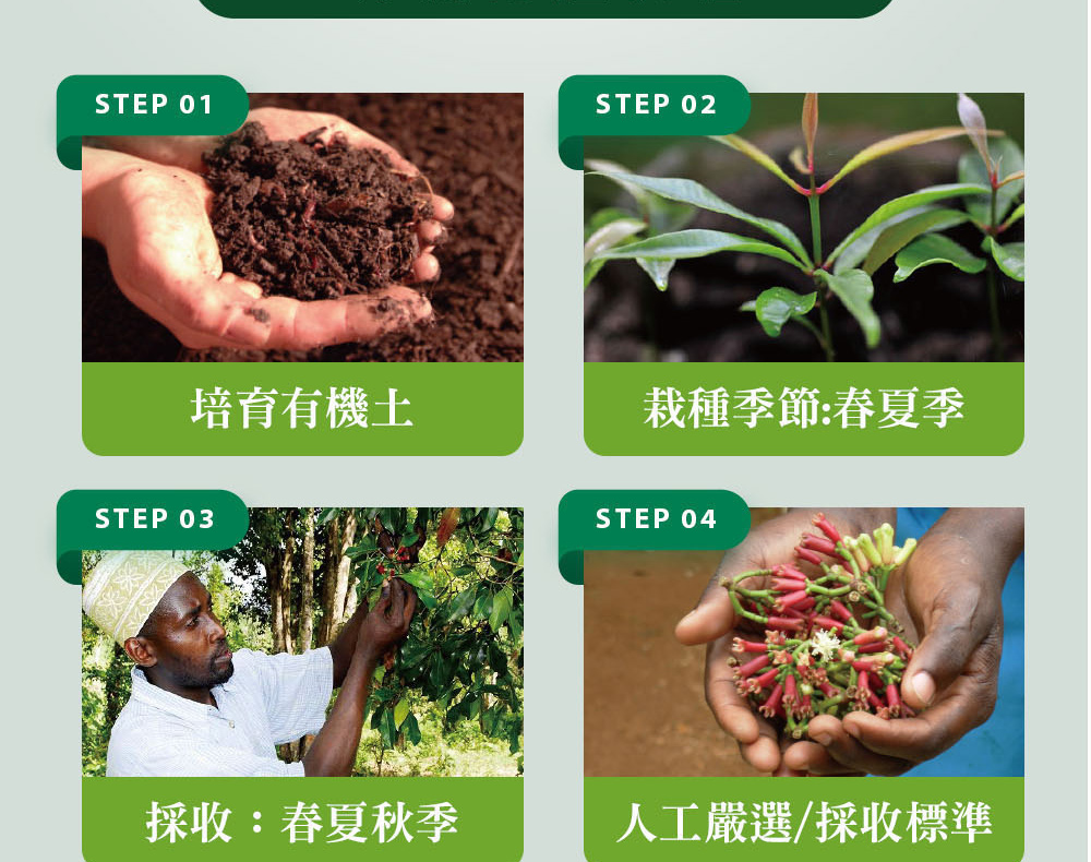 精油有機認證流程