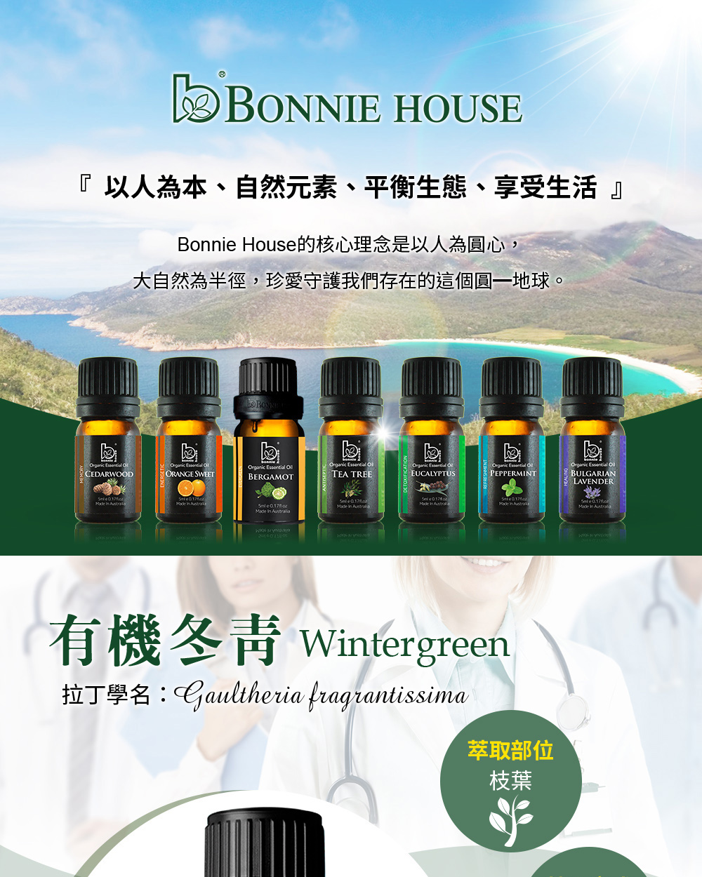 冬青精油介紹,英文Wintergreen Essential Oil,學名Gaultheria Fragrantissima