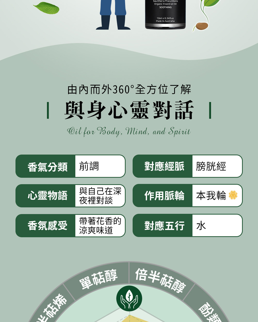 冬青精油五行屬木,對應經脈為膀胱經、對應脈輪為第三脈輪-本我輪,心靈物語是與自己在深夜裡對談。