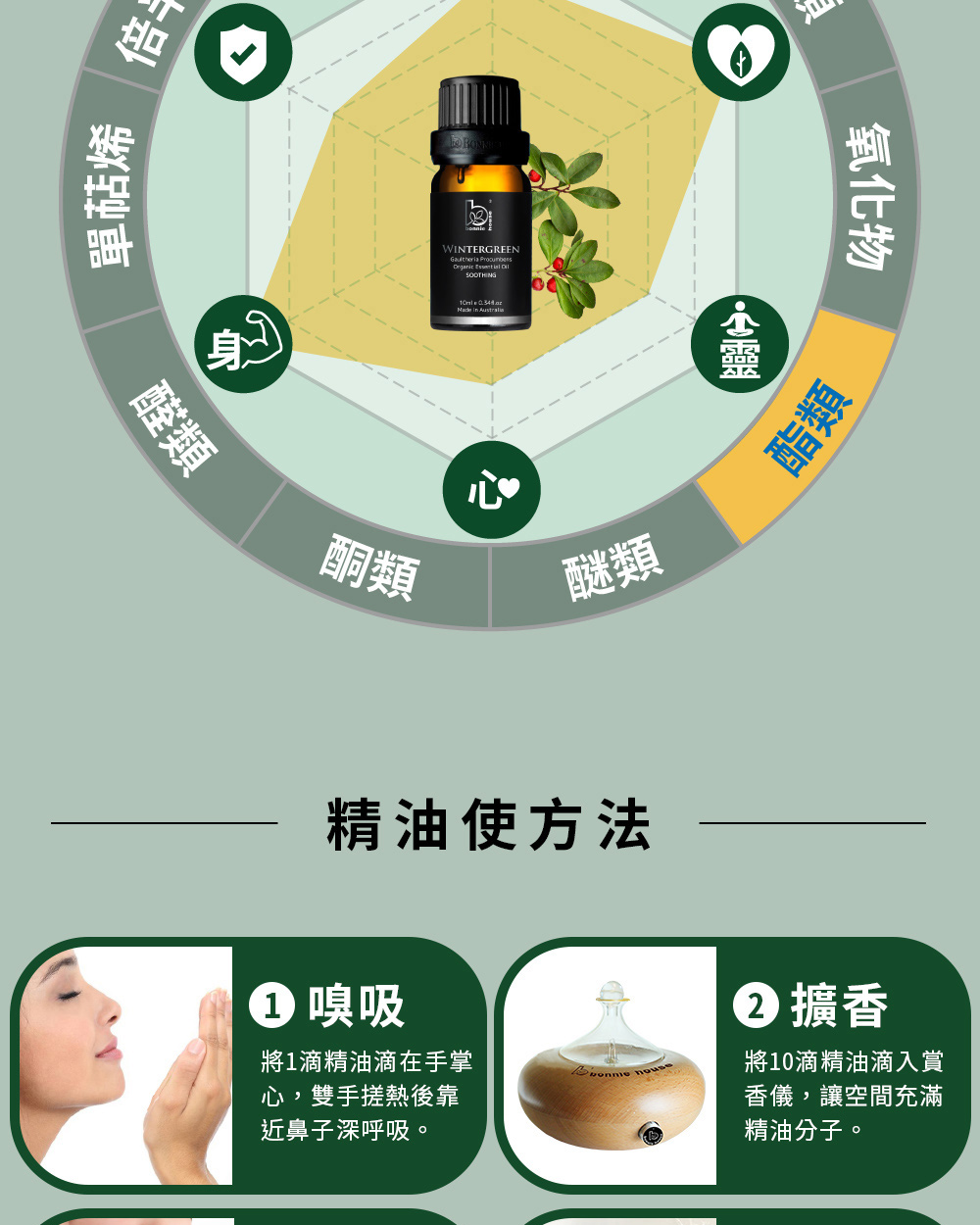 冬青精油主要成分為水楊酸甲酯(苯基酯)