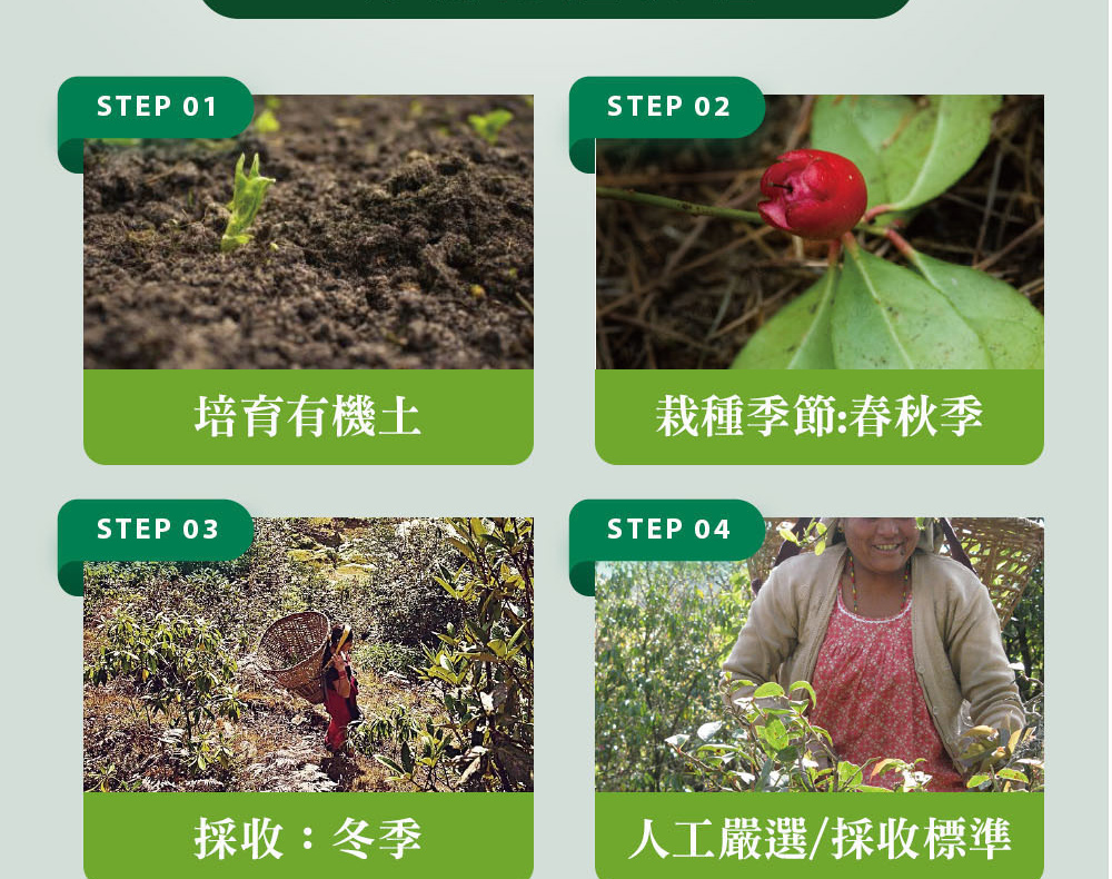 精油有機認證流程