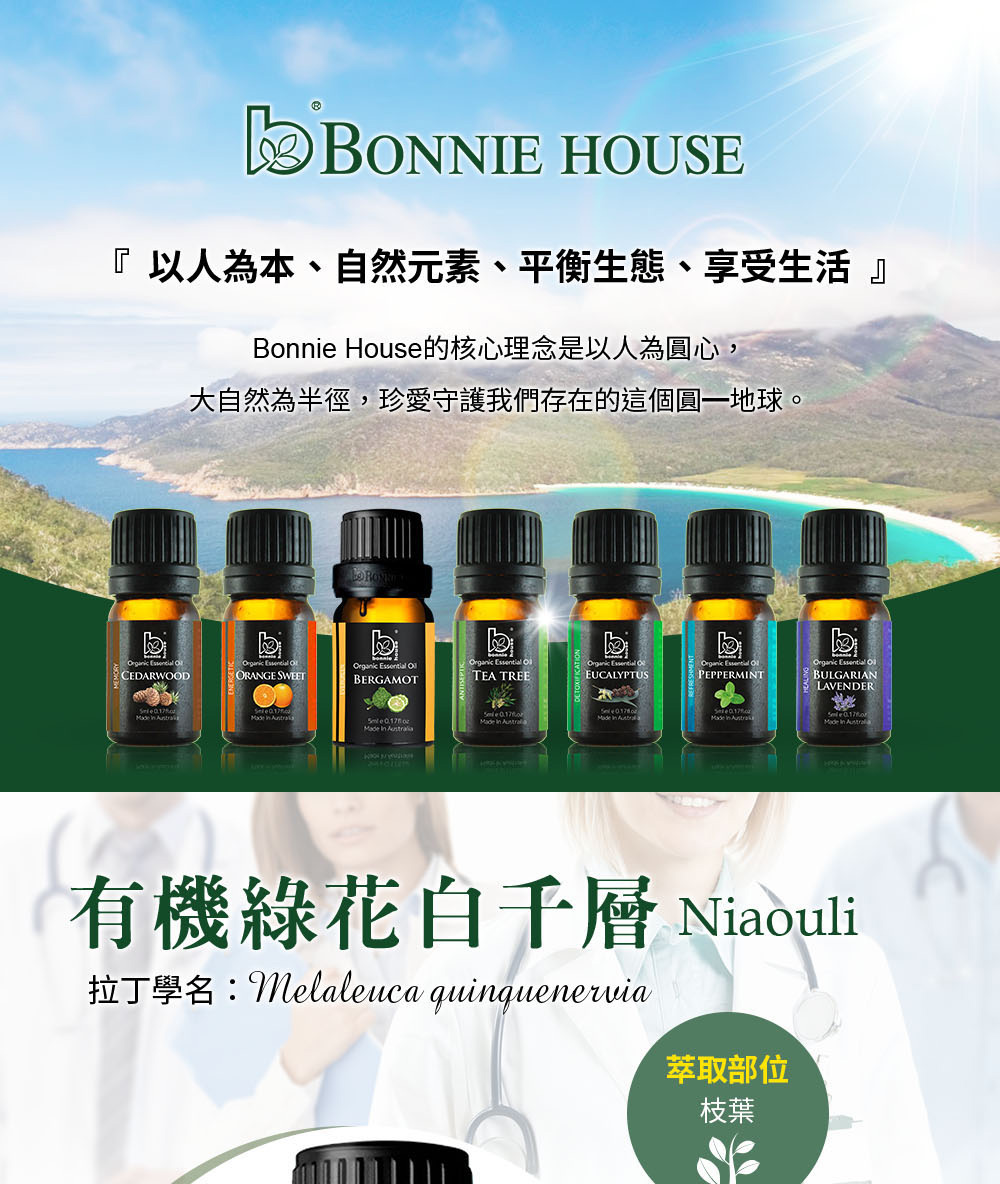 綠花白千層精油介紹,英文Niaouli Essential Oil,學名Melaleuca Quinquenervia