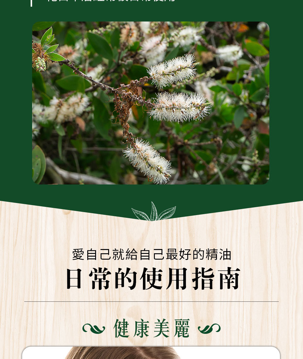 綠花白千層精油跟白千層精油很容易被混淆,仔細觀察可以發現綠花白千層氣味比較穩重,而白千層氣味比較高昂。