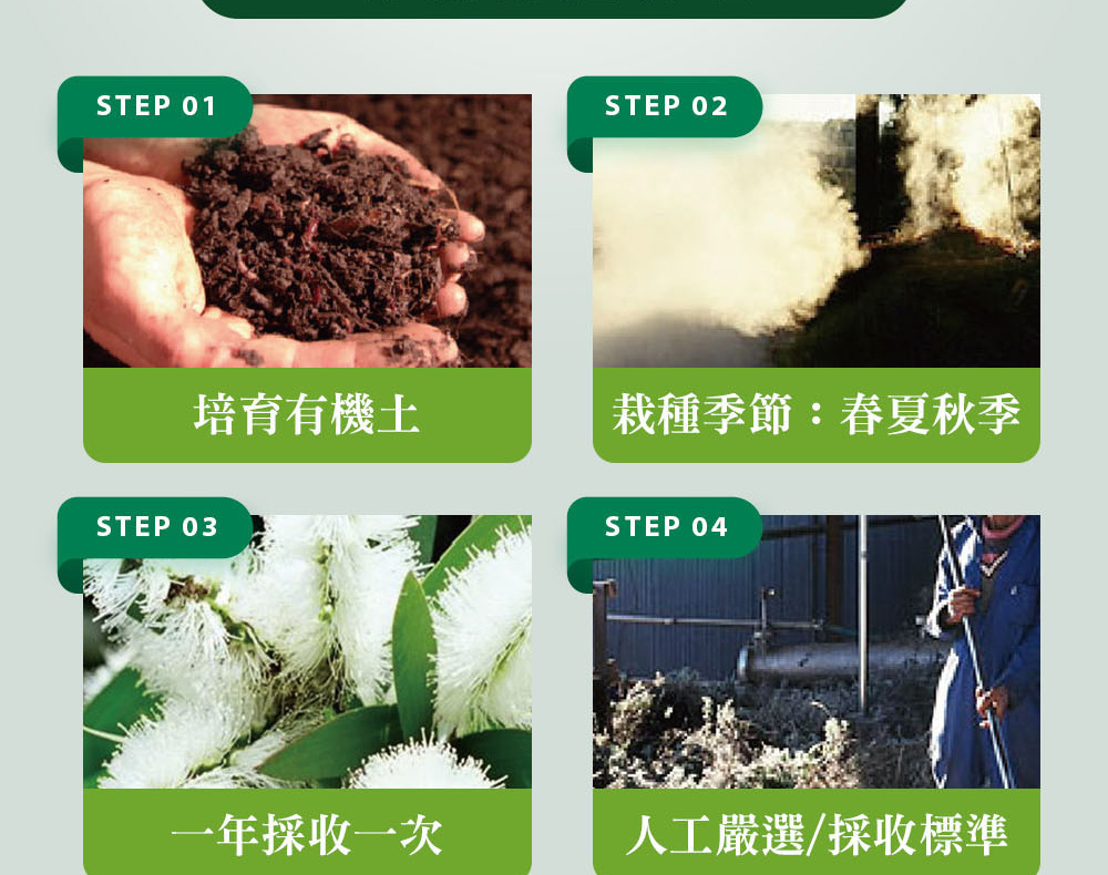 精油有機認證流程