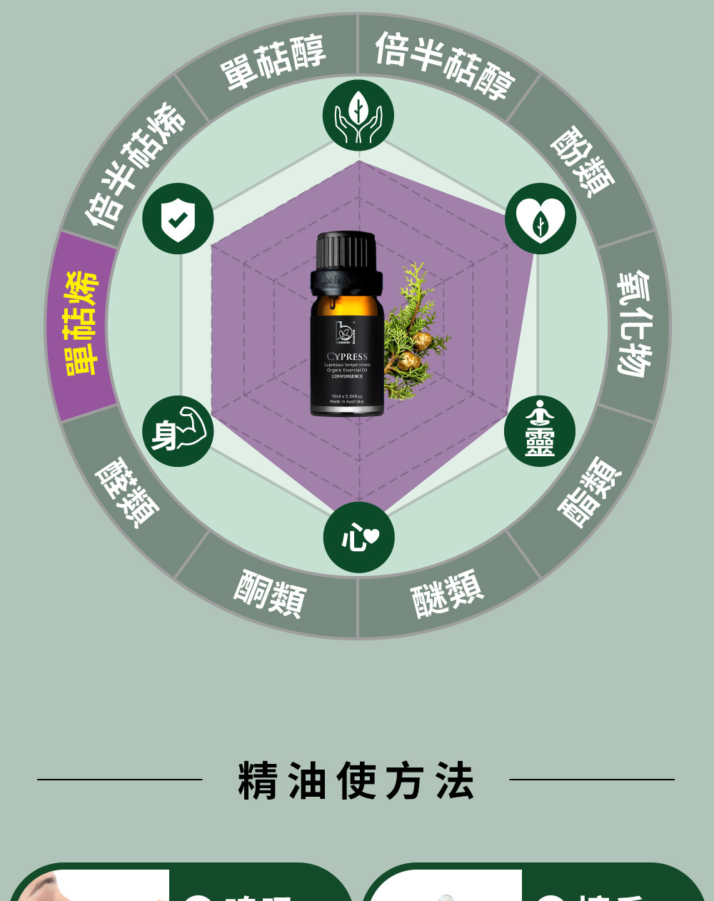 絲柏精油主要成分為α-蒎烯(單萜烯)、3-蒈烯(單萜烯)