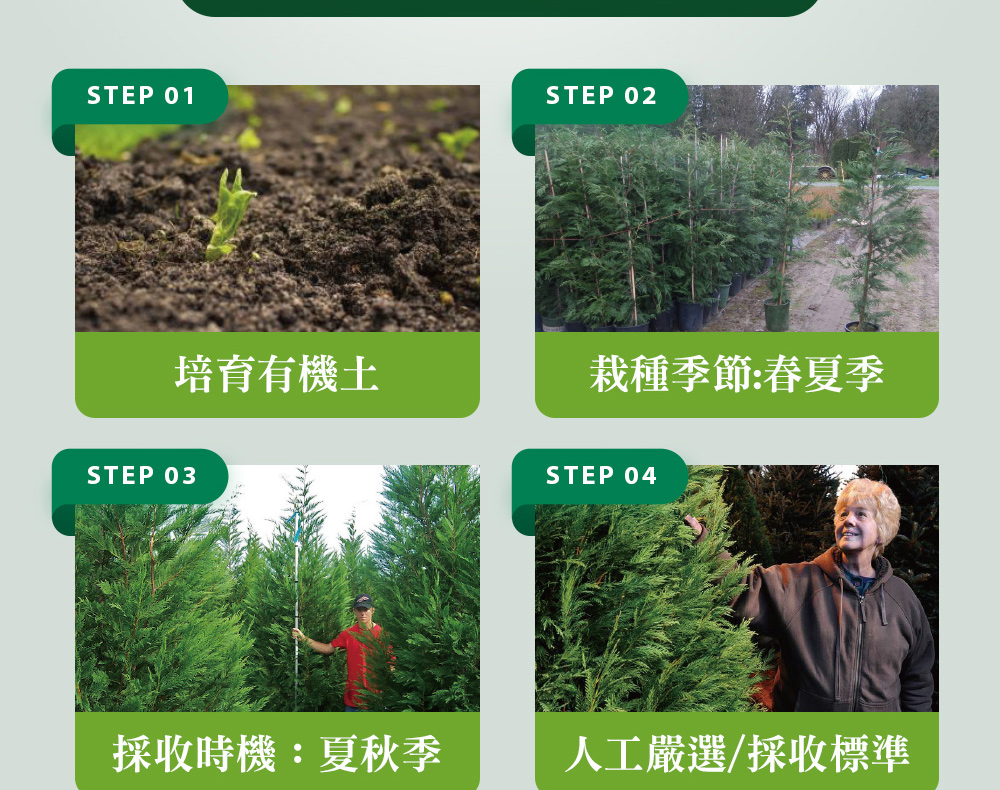 精油有機認證流程