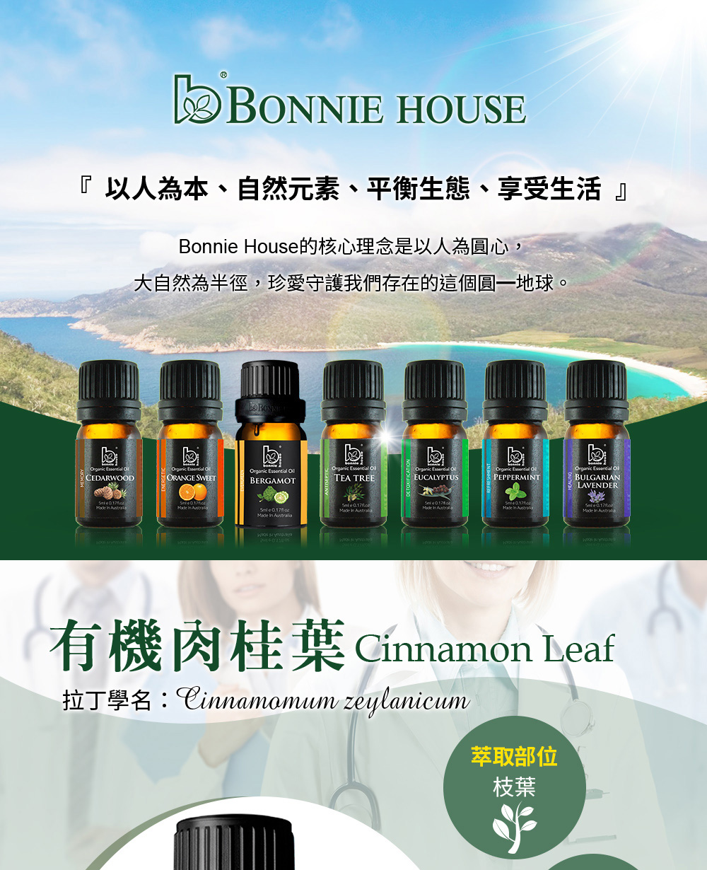 肉桂葉精油介紹，英文Cinnamon Leaf Essential Oil，學名Cinnamomum Zeylanicum