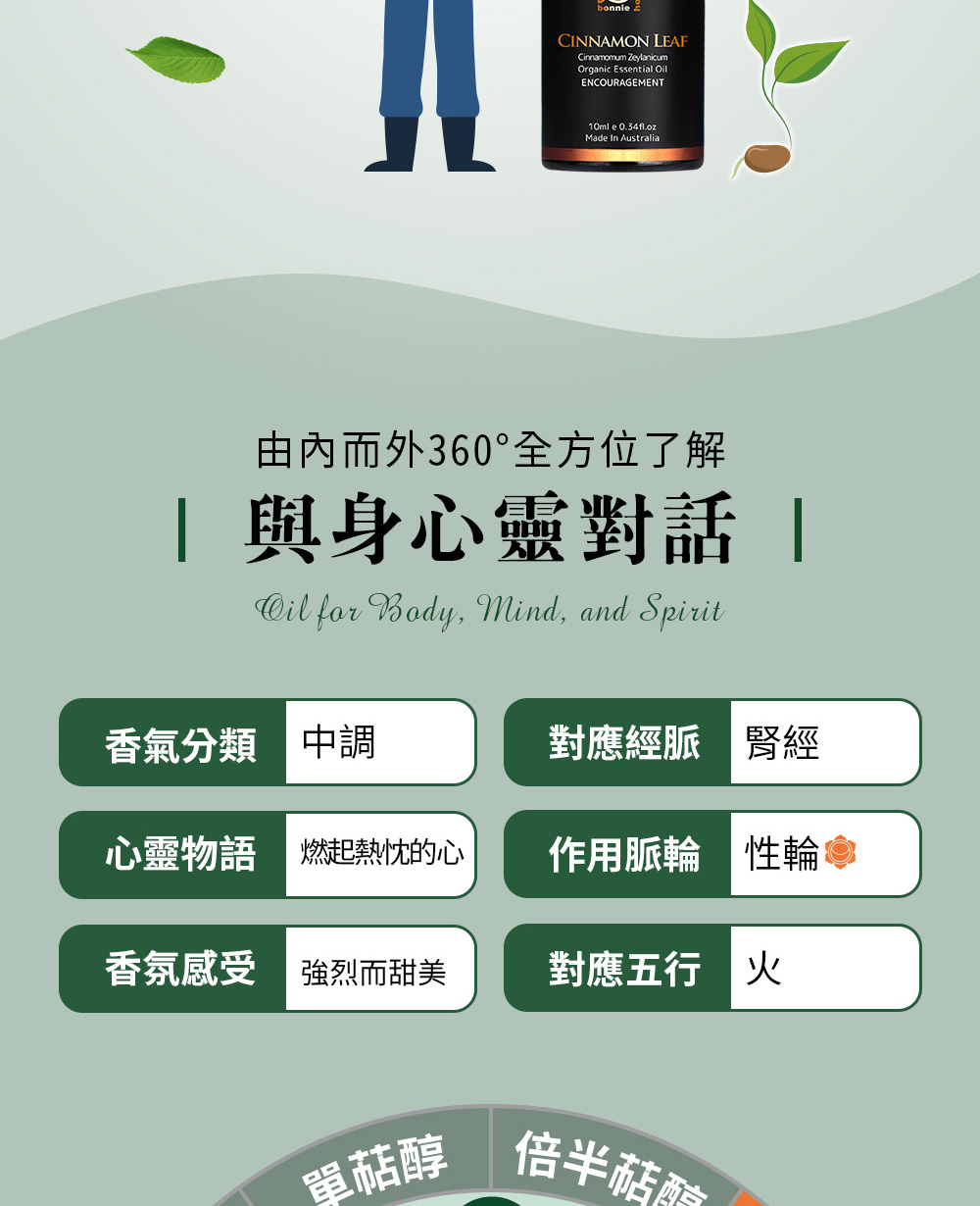 肉桂葉精油五行屬火，對應經脈為腎經、對應脈輪為第二脈輪-性輪，心靈物語是燃起熱忱的心。