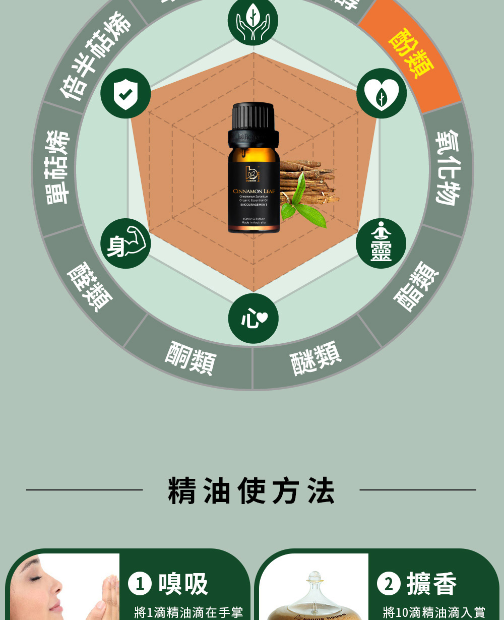 肉桂葉精油主要成分為肉桂醛(醛類)、丁香酚(酚類)、乙酸肉桂酯(酯類)