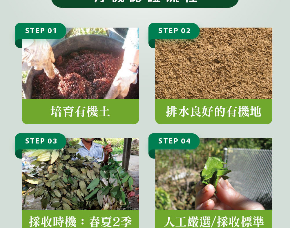 精油有機認證流程