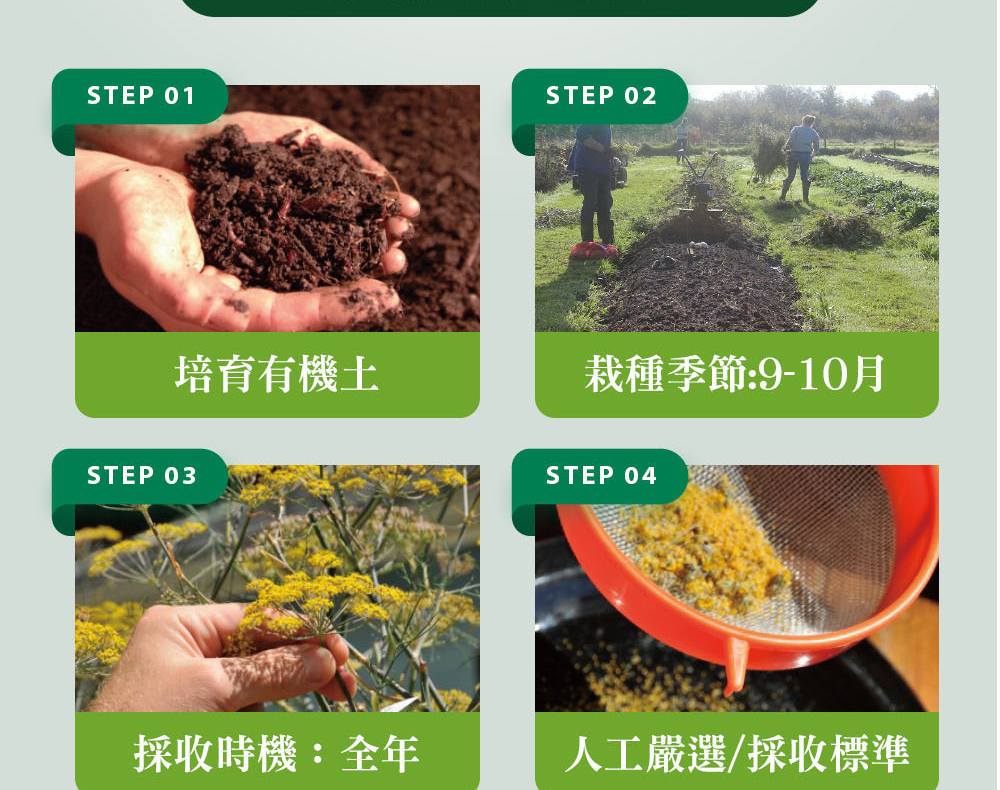 精油有機認證流程
