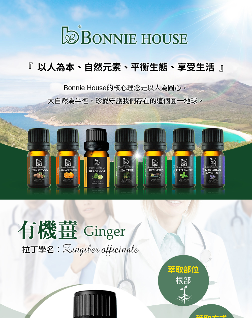 薑精油介紹，英文Ginger Essential Oil，學名Zingiber officinale