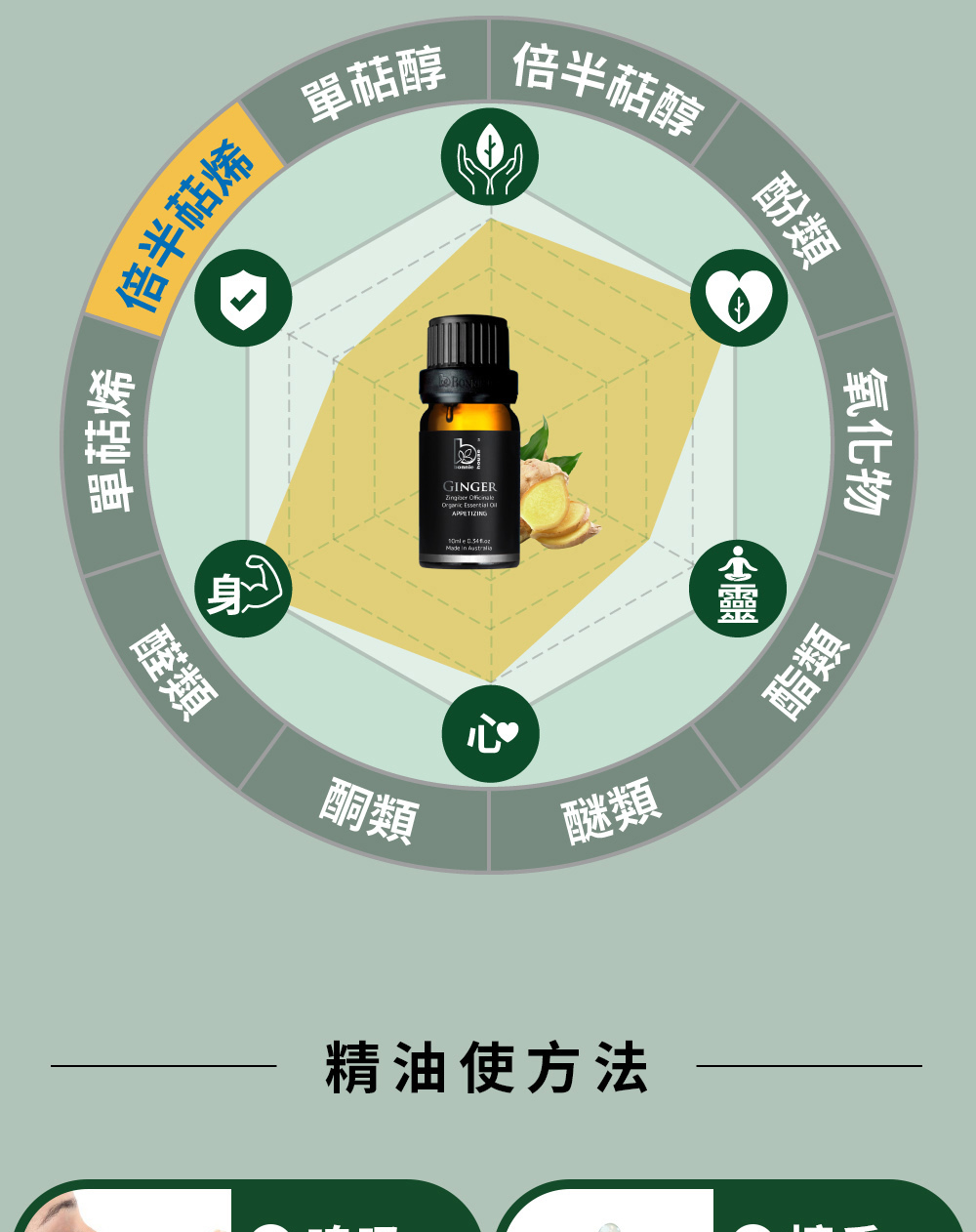 薑精油主要成分為薑烯(倍半萜烯類)、倍半水茴香烯、芳薑黃烯、金合歡烯