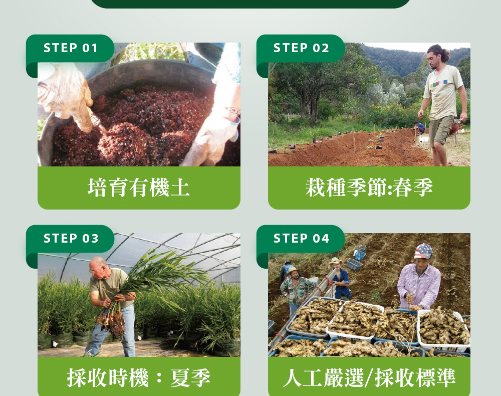 精油有機認證流程