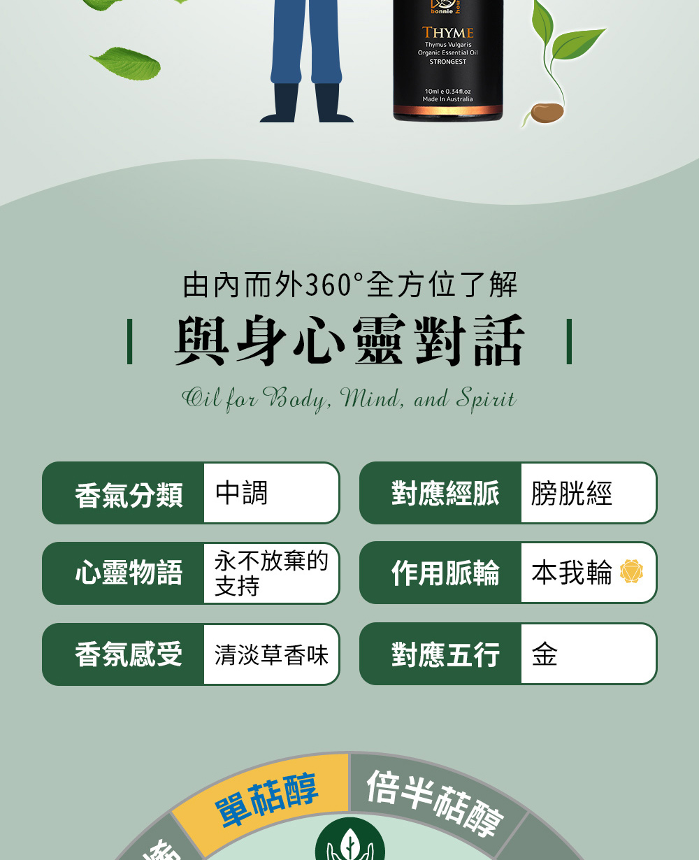 麝香草精油五行屬金,對應經脈為膀胱經、對應脈輪為第三脈輪-本我輪,心靈物語是永不放棄的支持。