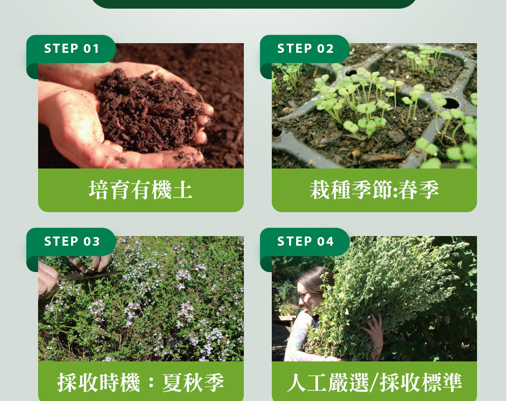 精油有機認證流程
