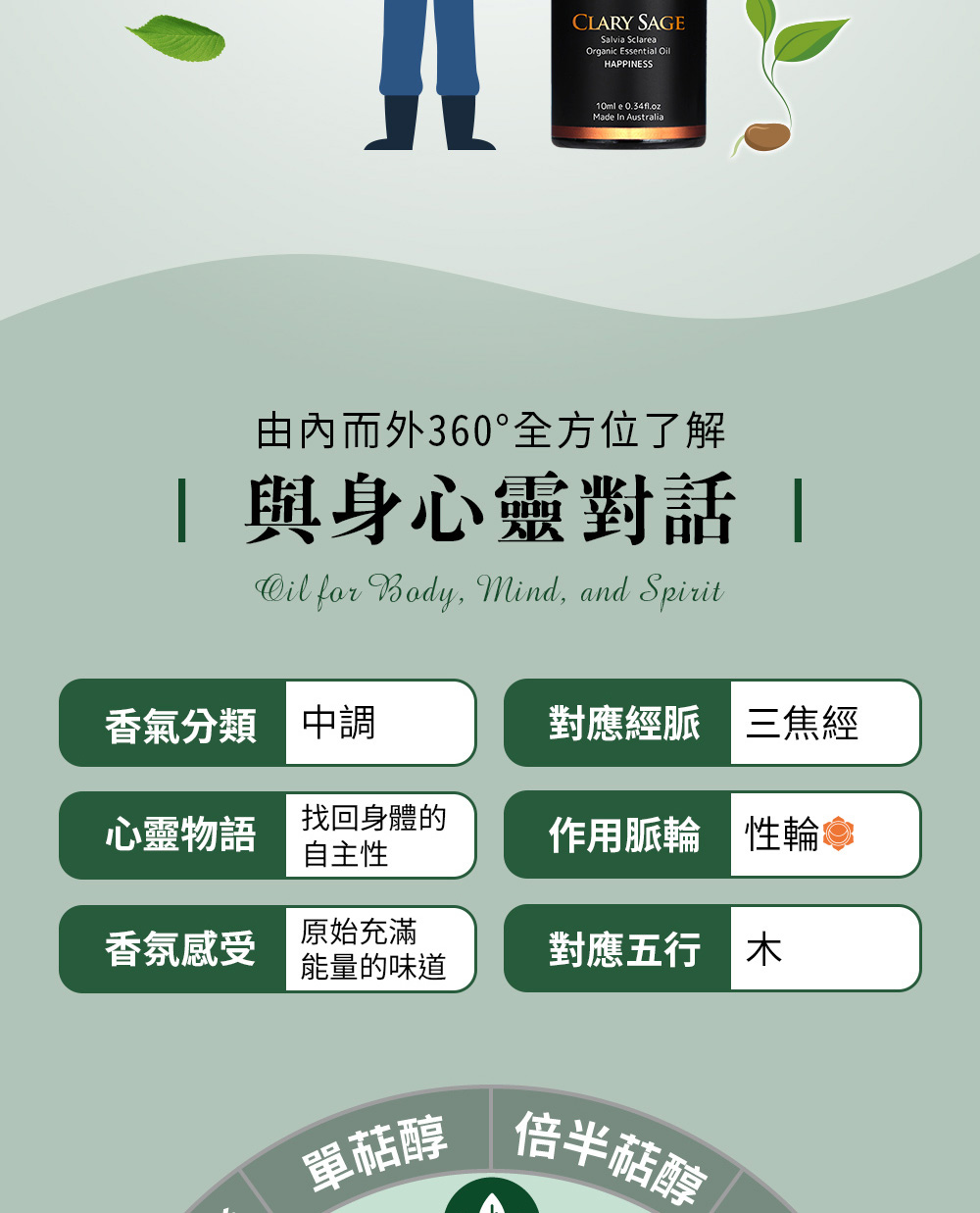 快樂鼠尾草精油五行屬木,對應經脈為三焦經、對應脈輪為第二脈輪-性輪,心靈物語是找回身體的自主性。