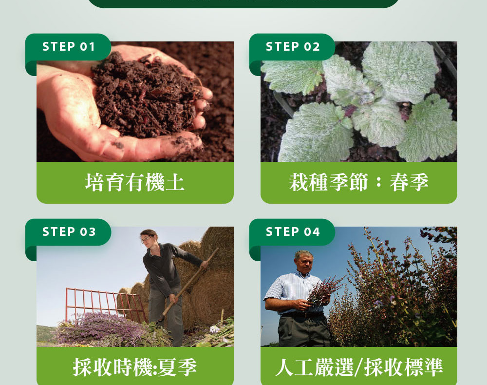 精油有機認證流程