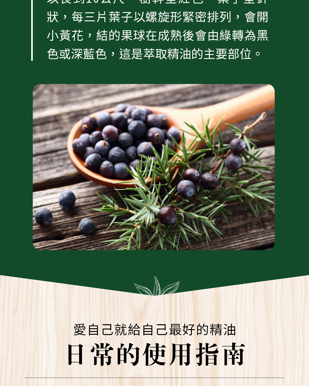 杜松果精油可以趕走空間負面能量,搬家前如果覺得氣息很亂、不舒服時,可用杜松果精油薰香淨化