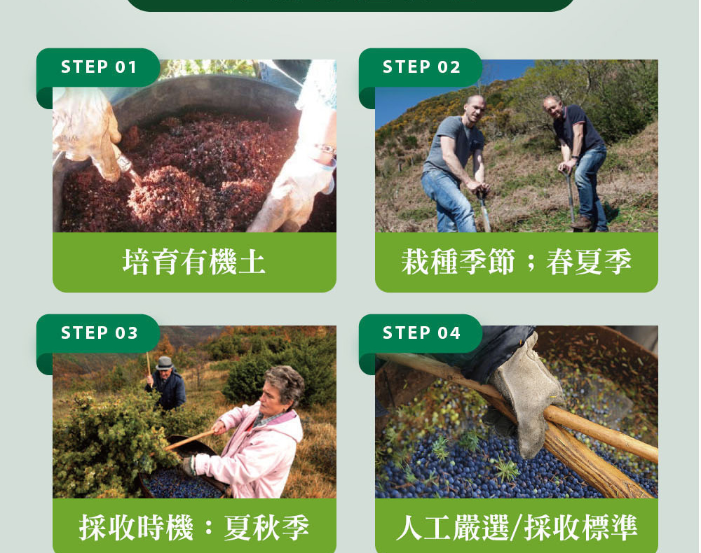 精油有機認證流程