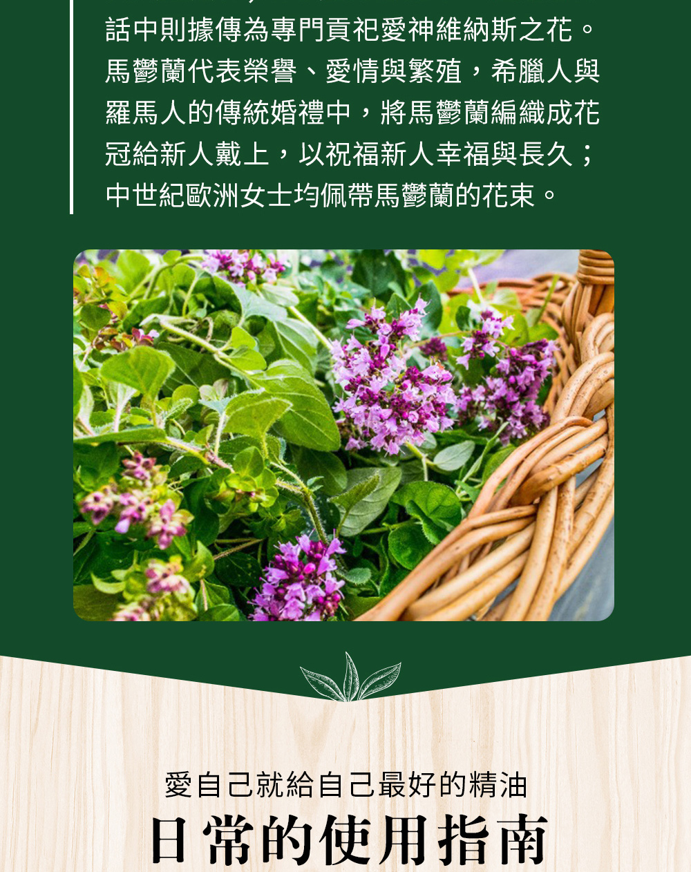 馬鬱蘭俗名來自古拉丁語mariole及maiorana,是「聖母瑪利亞」的意思;有芬芳安撫的氣息,小孩不安、焦躁的時候,將馬鬱蘭放在額頭,猶如聖母慈愛的手輕撫。