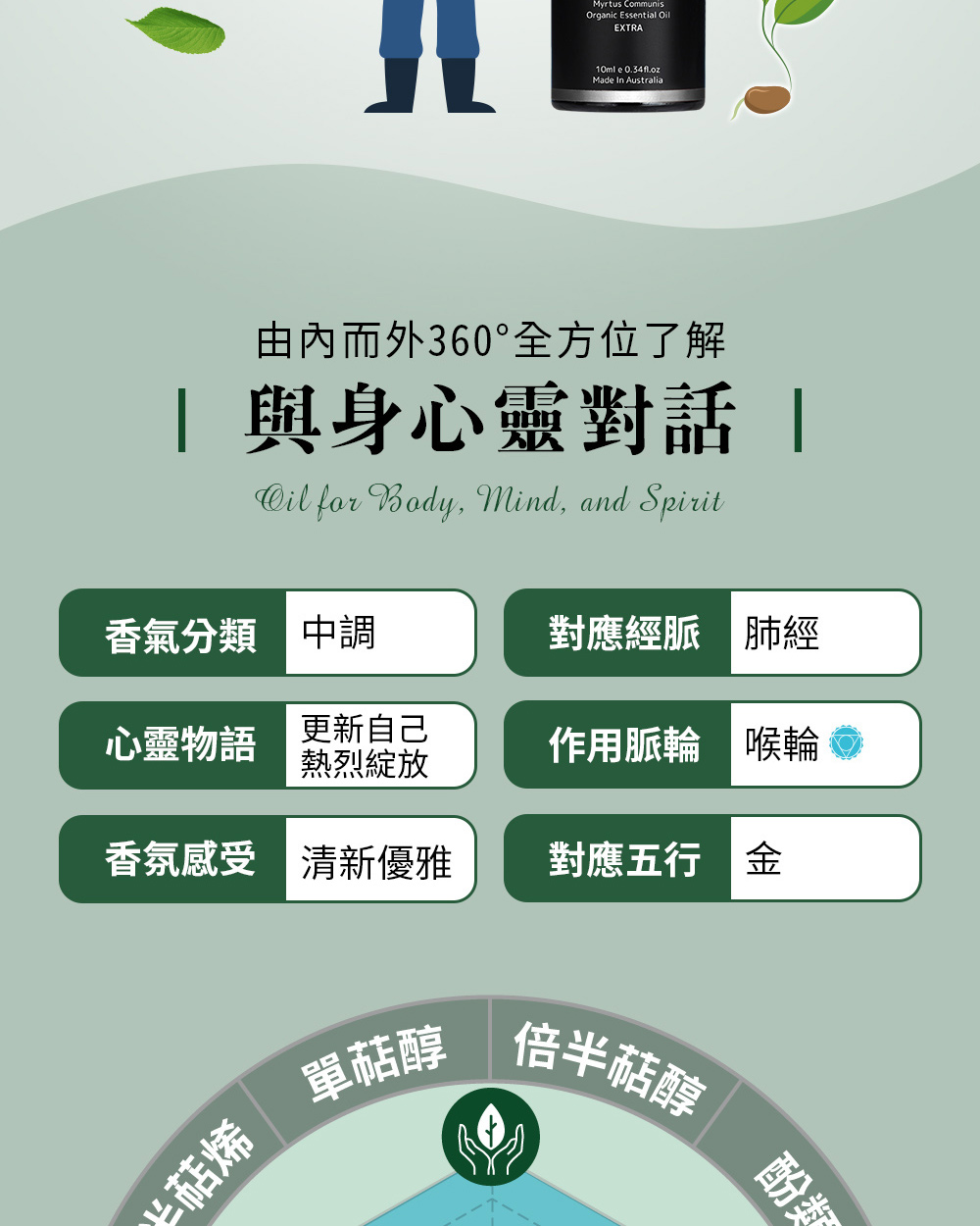 香桃木精油五行屬金,對應經脈為肺經、對應脈輪為第五脈輪-喉輪,心靈物語是更新自己、熱烈綻放。
