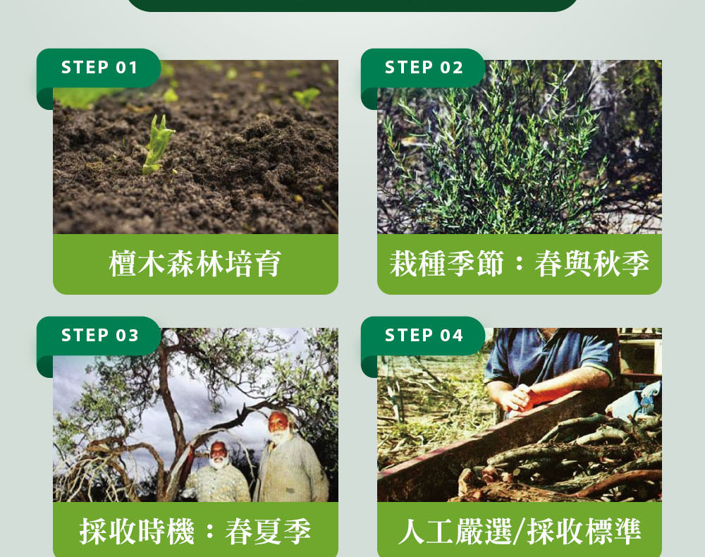 精油有機認證流程