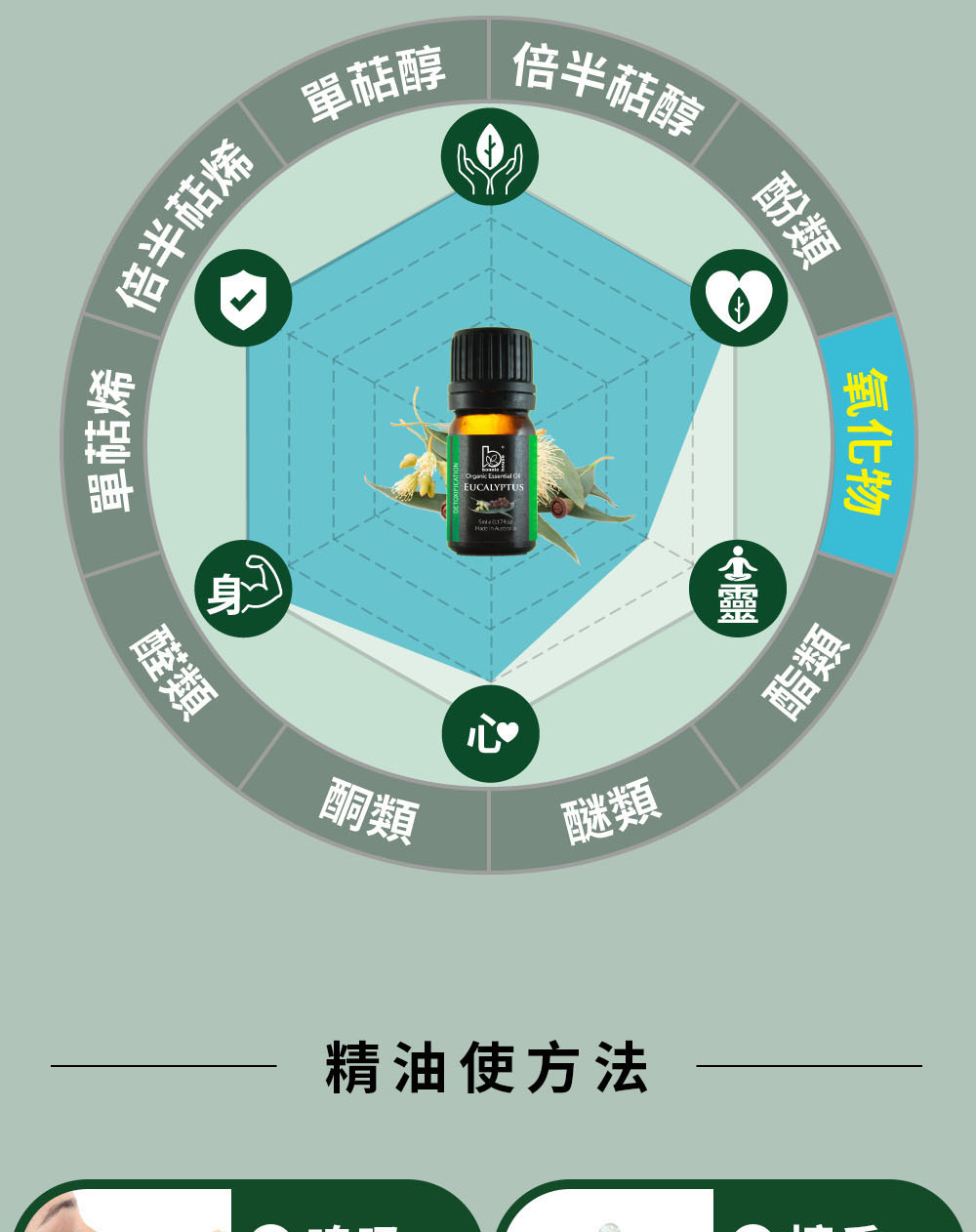 尤加利精油主要成分是桉油醇(氧化物)