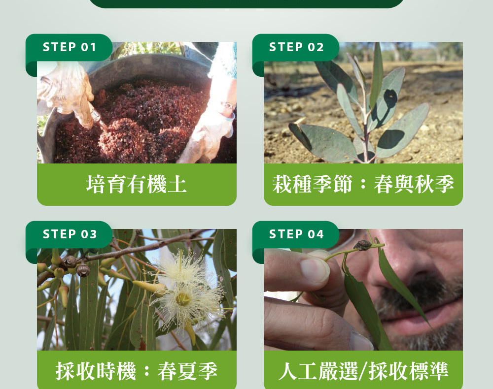精油有機認證流程